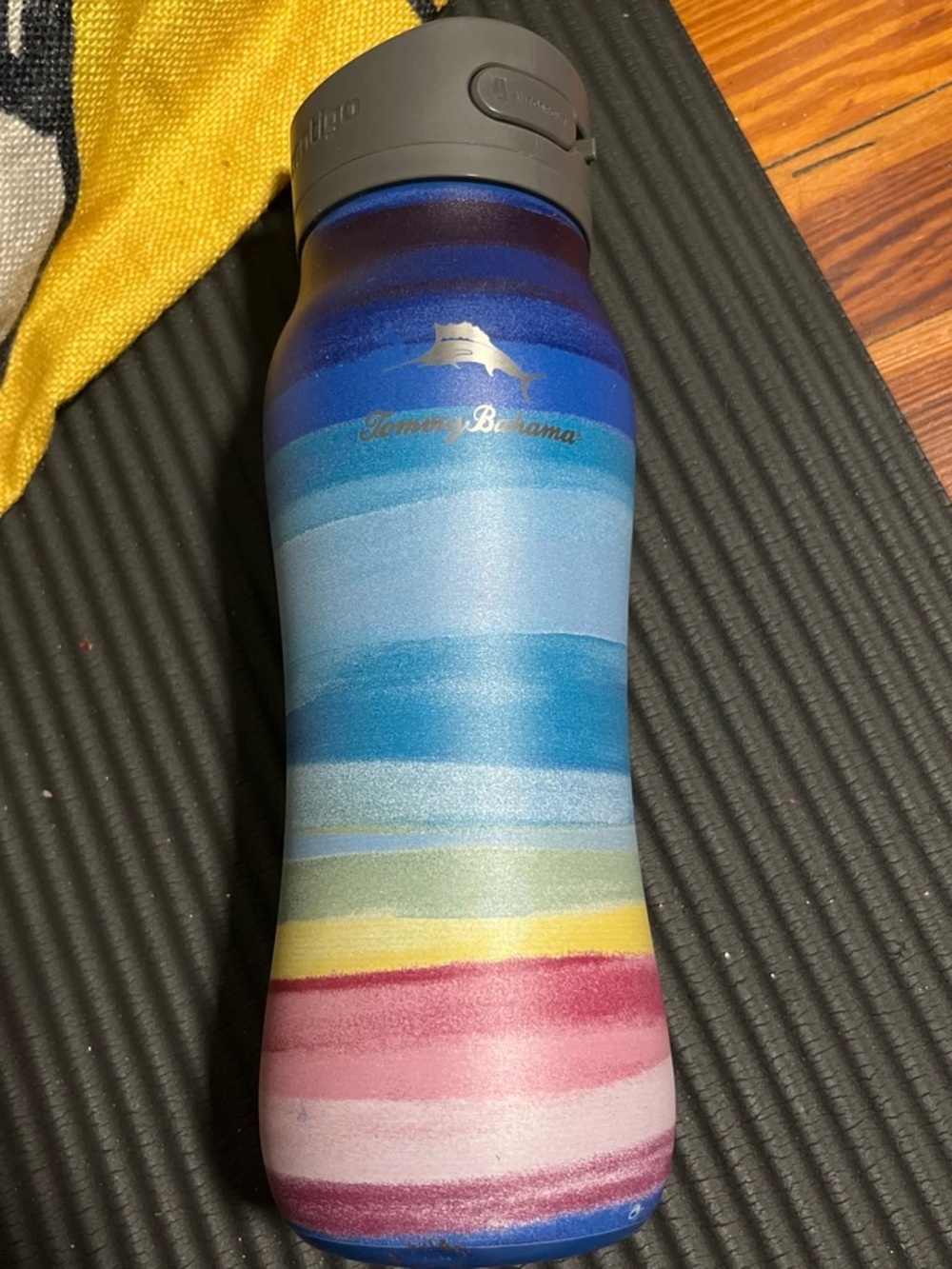 Tommy Bahama Multicolor Striped Insulated Water Bottle with Gray Lid